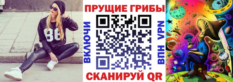 Псилоцибиновые грибы мицелий  Купить  Старая Купавна 